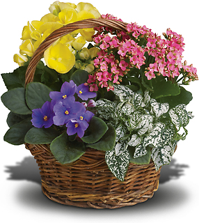 Blooming Garden Basket