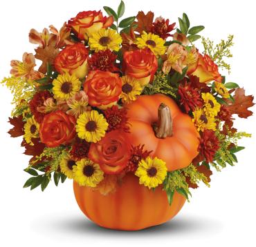 Warm Fall Wishes Pumpkin