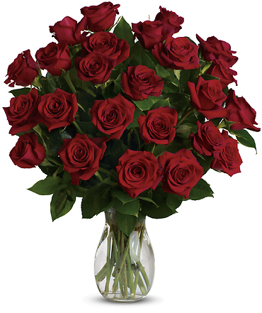 My True Love - Red Roses