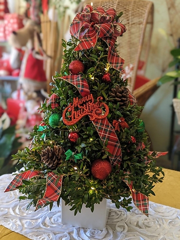 Traditional Holiday Boxwood Tree